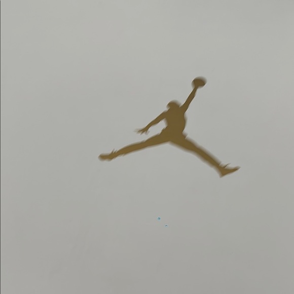 Jordan Blue and White High-Top Sneakers - Picture 3 of 4